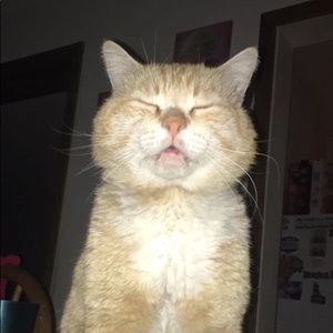 Meet your Posher, Manuel